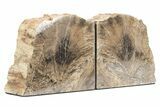 Polished Petrified Featherwood Bookends - Arizona #231786-1